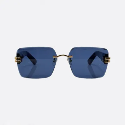 DIOR square frame glasses leopard blue/leopard brown color Size 66口13-140