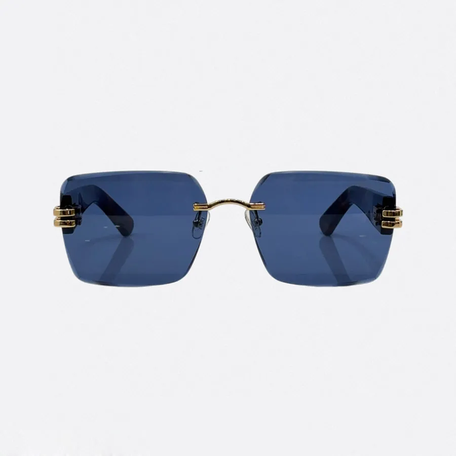 DIOR square frame glasses leopard blue/leopard brown color Size 66口13-140