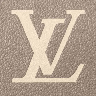 Louis Vuitton Bags Speedy