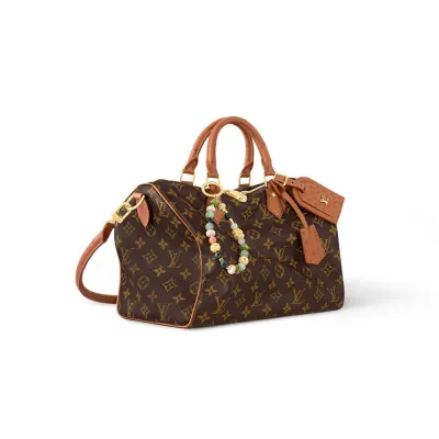 Louis Vuitton Bags Speedy