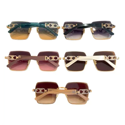 Celine square frame glasses ivory/green/black/purple/khaki color Size 62口16-145