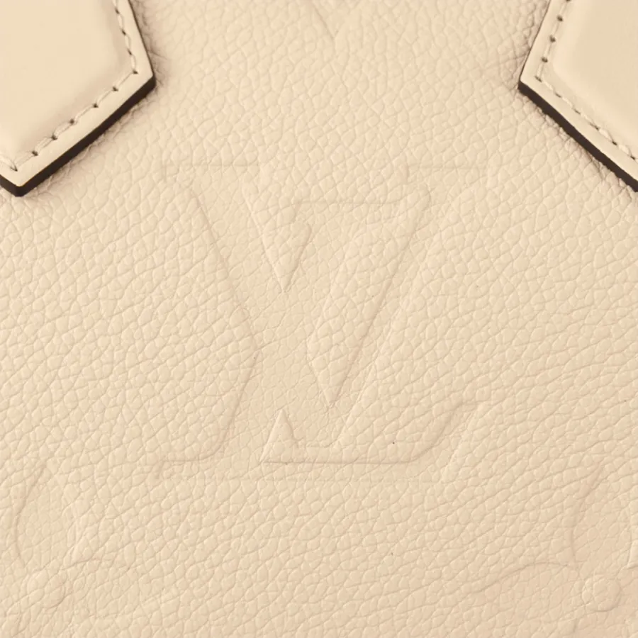 Louis Vuitton Bags Speedy
