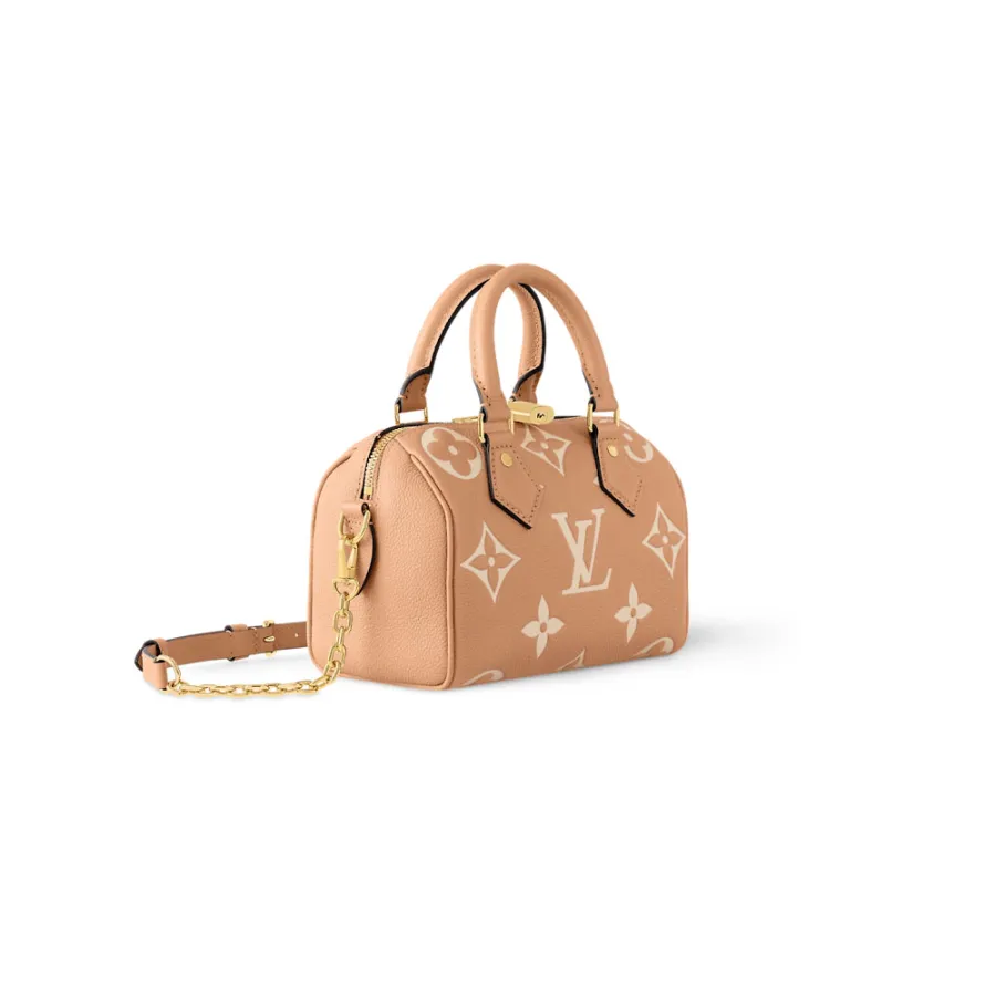 Louis Vuitton Bags Speedy