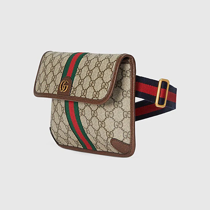 Gucci Bags Ophidia