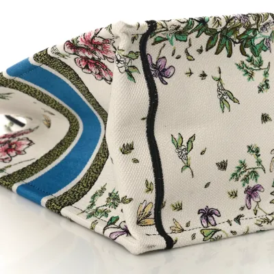 Dior Medium D-Constellation Book Tote Latte Multicolor Embroidered Canvas