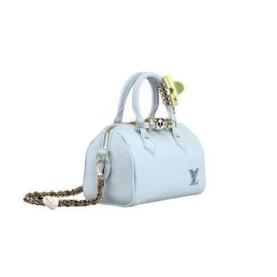 Louis Vuitton Bags Speedy