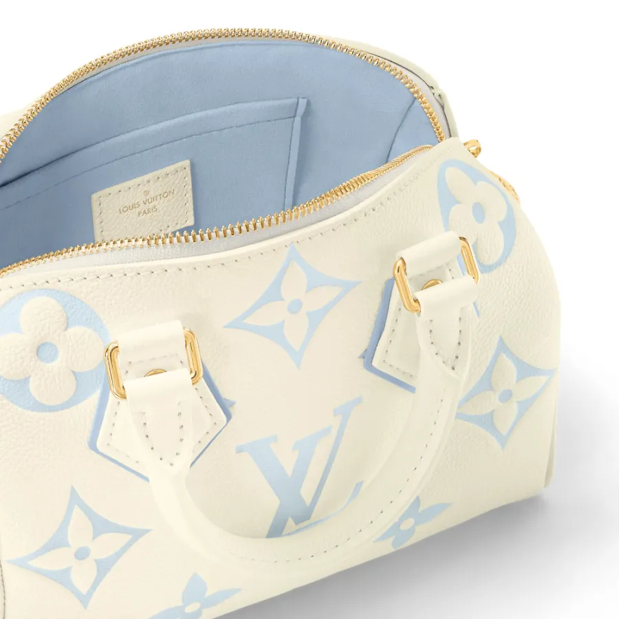 Louis Vuitton Bags Speedy