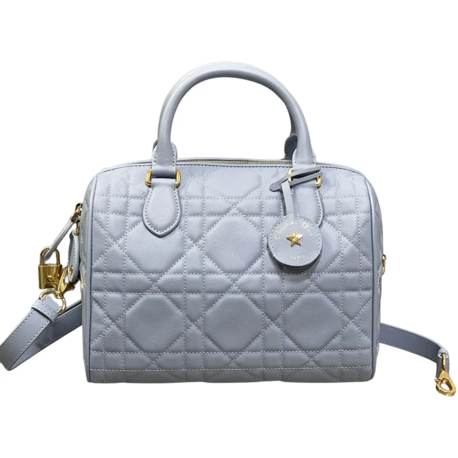 Dior Groove 25 Bag In Ice Blue/White/Pink/Biscuit/Black Macrocannage Calfskin With Gold Hardware