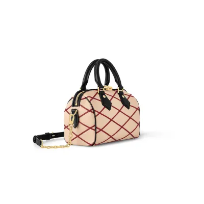 Louis Vuitton Bags Speedy