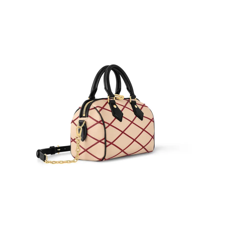 Louis Vuitton Bags Speedy