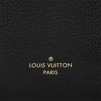 Louis Vuitton Bags Side Trunk