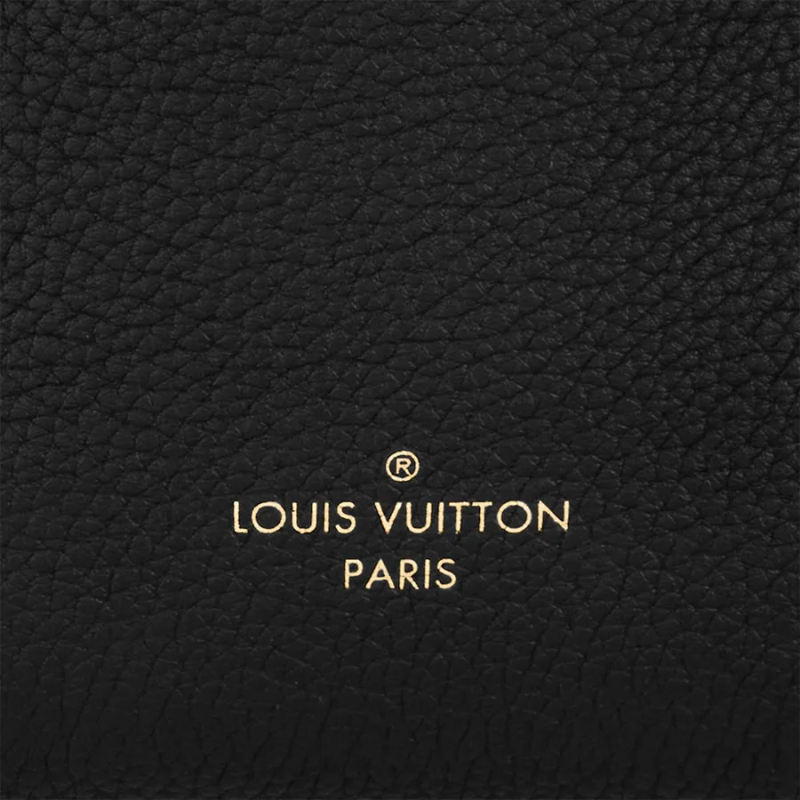 Louis Vuitton Bags Side Trunk