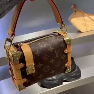 Louis Vuitton Bags Side Trunk
