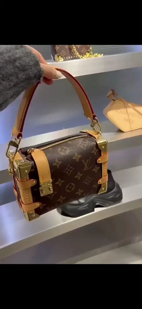 Louis Vuitton Bags Side Trunk