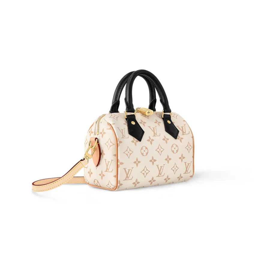 Louis Vuitton Bags Speedy