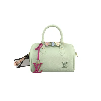 Louis Vuitton Bags Speedy