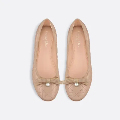 Dior ballet Shoes flat Shoes