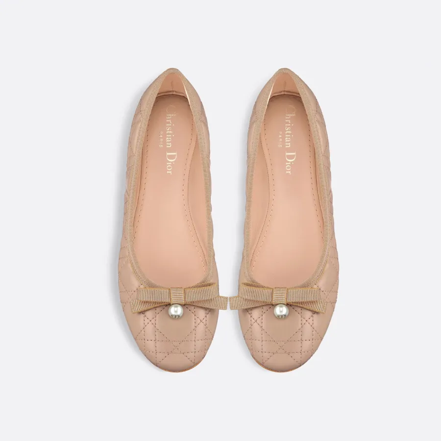 Dior ballet Shoes flat Shoes