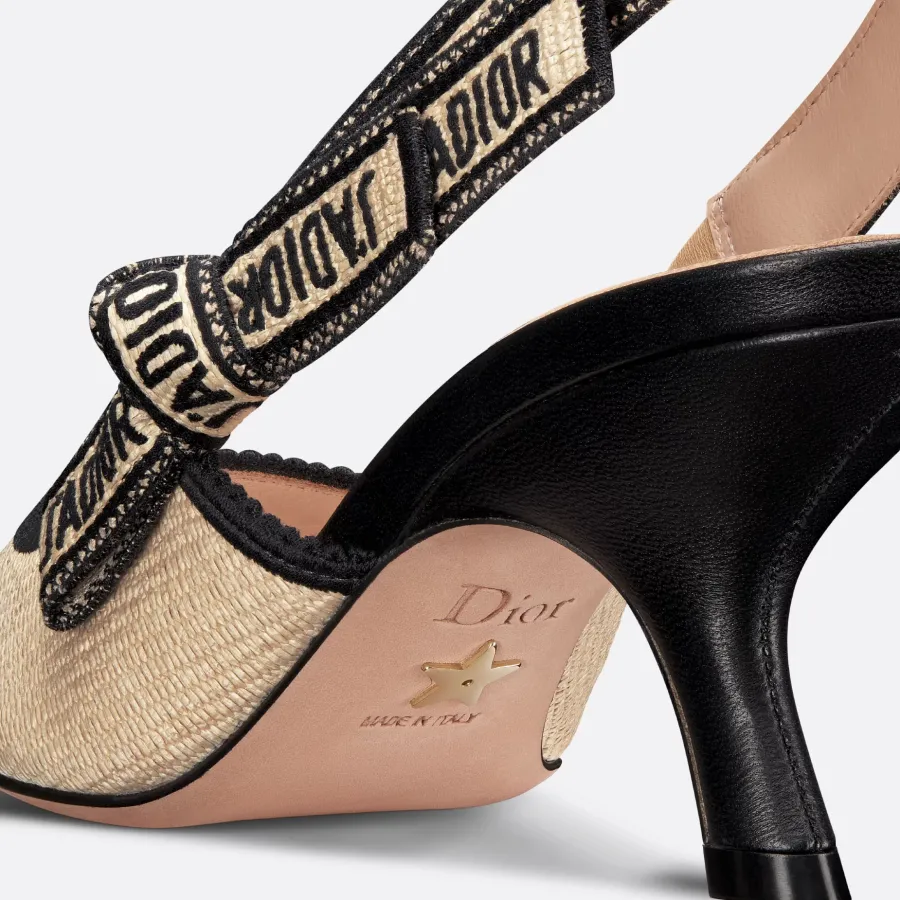 Dior pointy heels high heels shoes