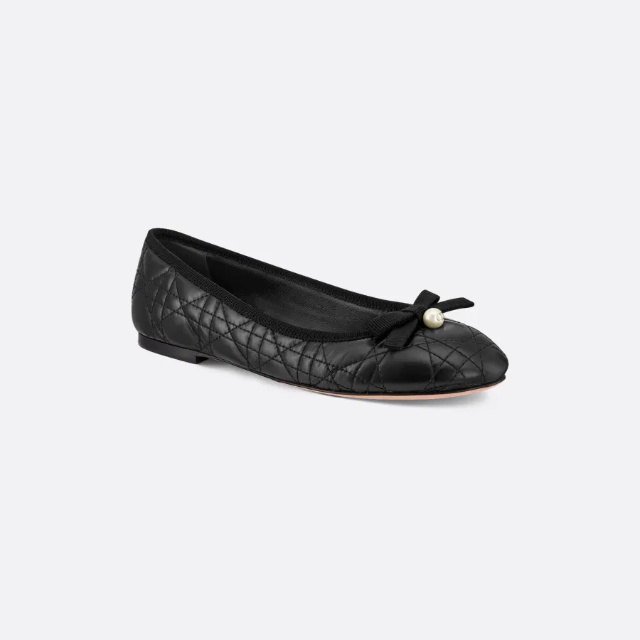 Dior black ballet Shoes flat Shoes