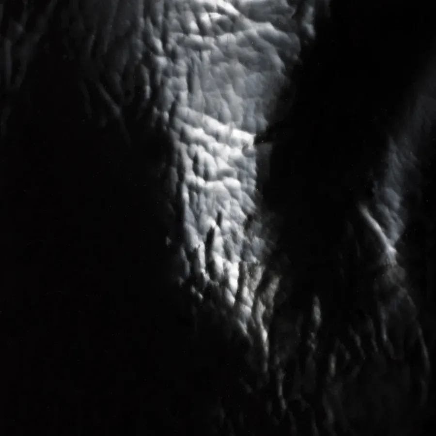 Miu Miu Patent Leather Black Shoulder Bags