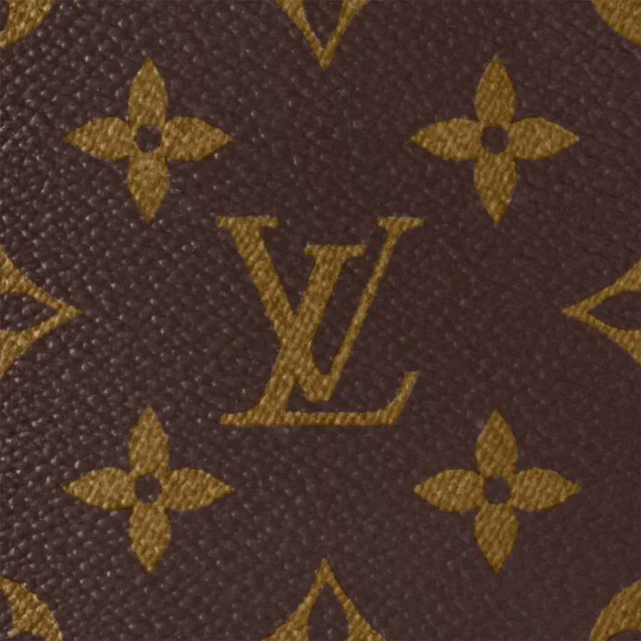 Louis Vuitton Bags Christopher