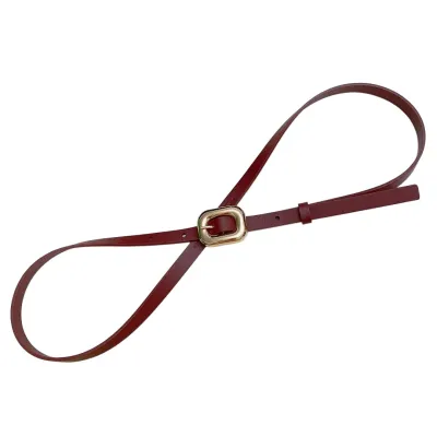 Bottega Veneta Women's Chain Link Belt In Red Calfskin With Gold/Silver Hardware 12mm