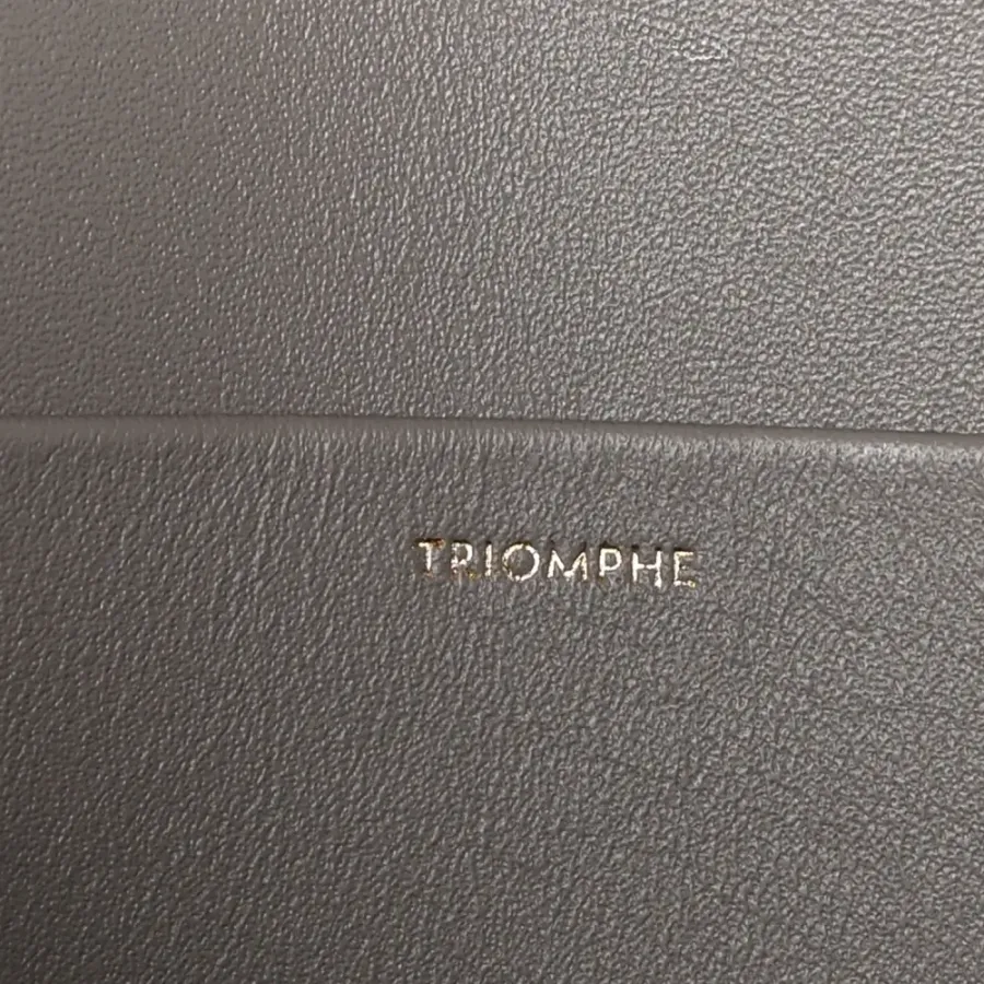 Celine Medium Triomphe Bag Pebble Shiny Calfskin Leather Gold Hardware