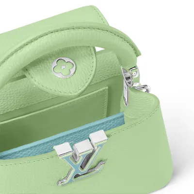 Louis Vuitton Bags Capucines