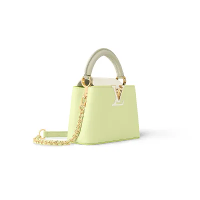 Louis Vuitton Bags Capucines