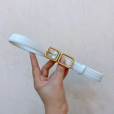 Saint Laurent Double Frame Buckle Belt In Black/Brown/Beige/White Calfskin With Gold Hardware 20mm