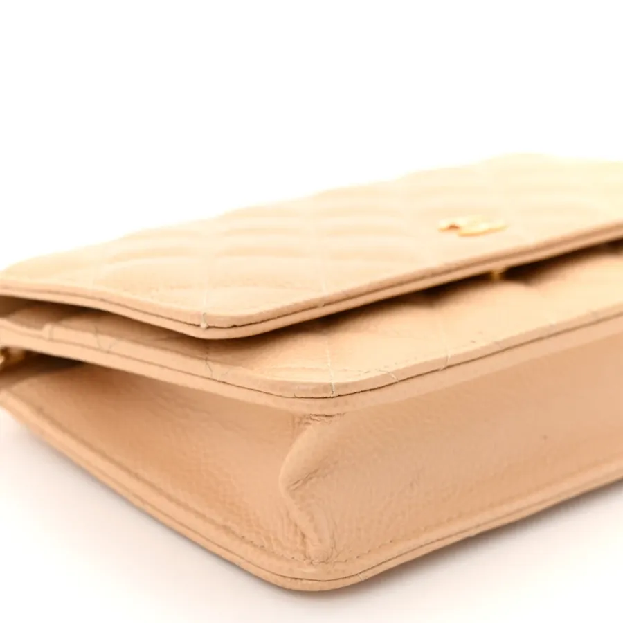 Chanel Wallet On Chain | Luxury Handbags