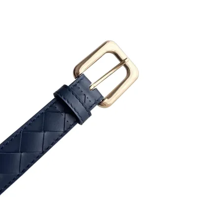 Bottega Veneta Women's Chain Link Belt In Blue/Black/Pink Calfskin With Gold/Silver Hardware 25mm