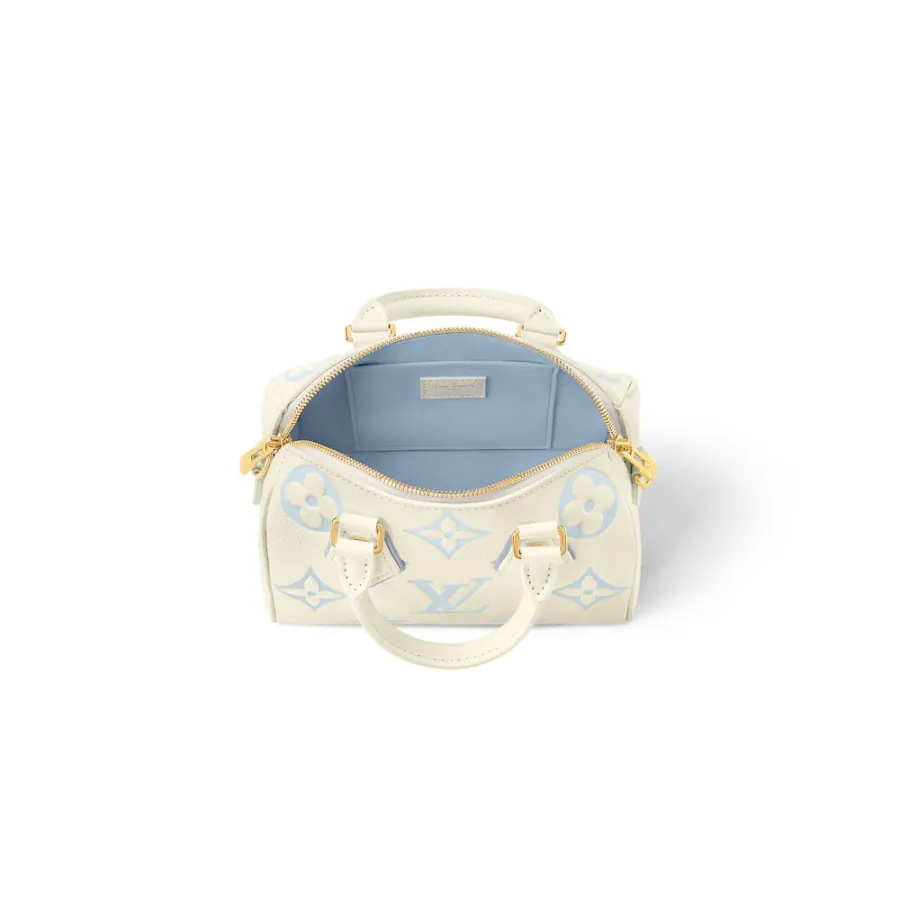 Louis Vuitton Bags Speedy