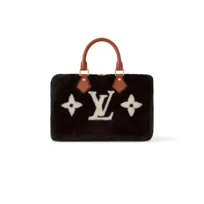 Louis Vuitton Bags Speedy