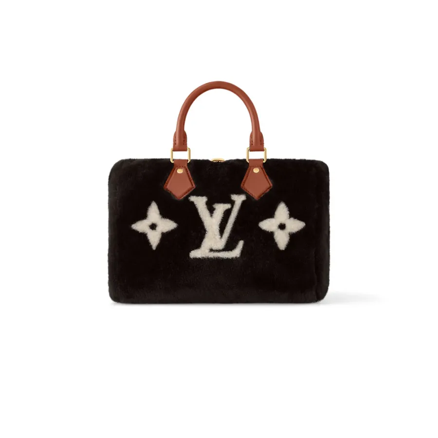 Louis Vuitton Bags Speedy
