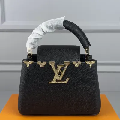 Louis Vuitton Bags Capucines