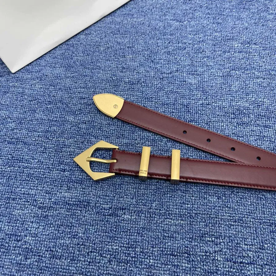 Celine Triangled Buckle Reversible Belt In Brown/Black/Red Calfskin With Gold Hardware 25mm