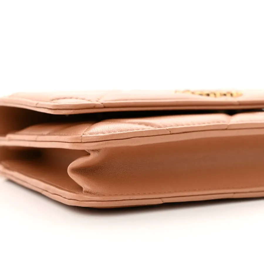 Chanel Wallet On Chain | Designer Handbags