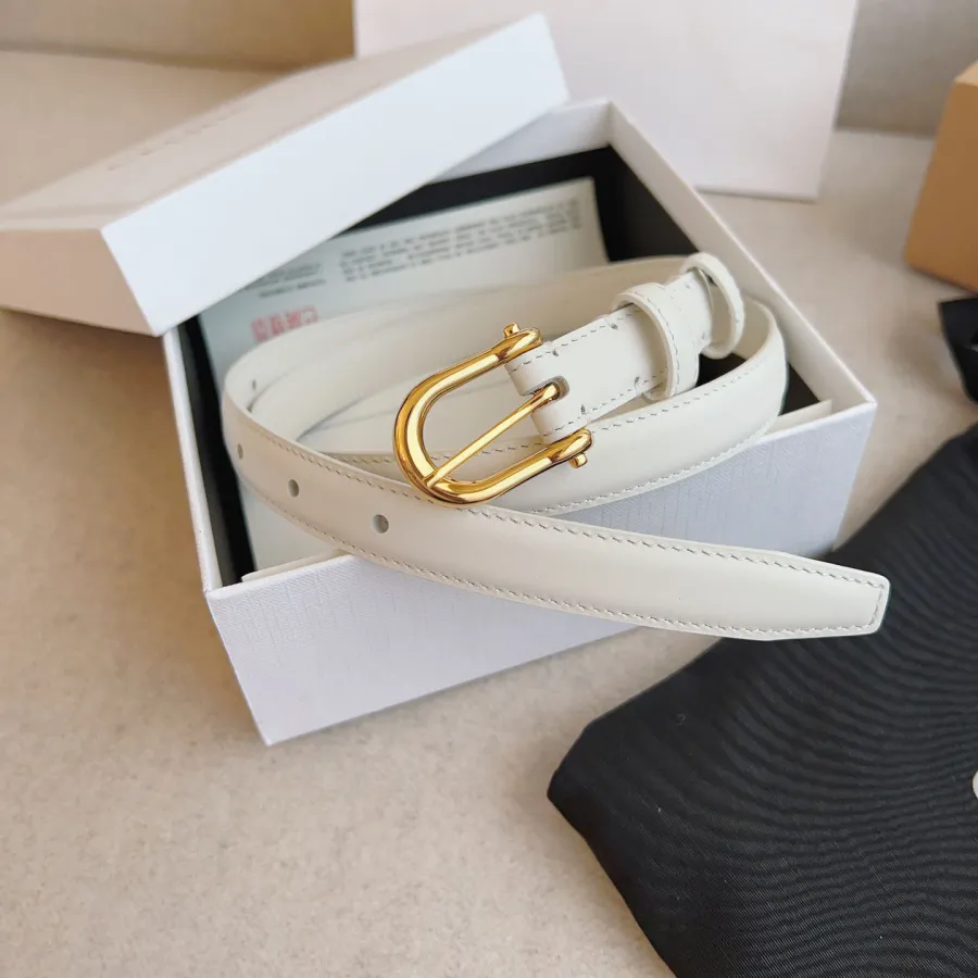 Celine Western Belt In Black/Brown/White Calfskin With Gold Hardware 18mm