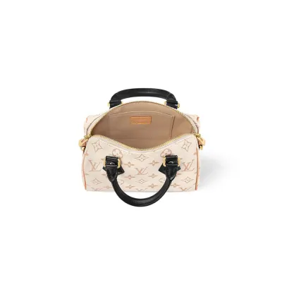 Louis Vuitton Bags Speedy