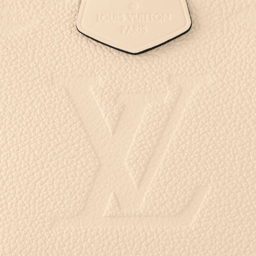Louis Vuitton Bags Multi