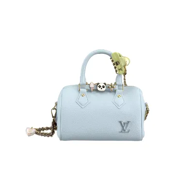 Louis Vuitton Bags Speedy
