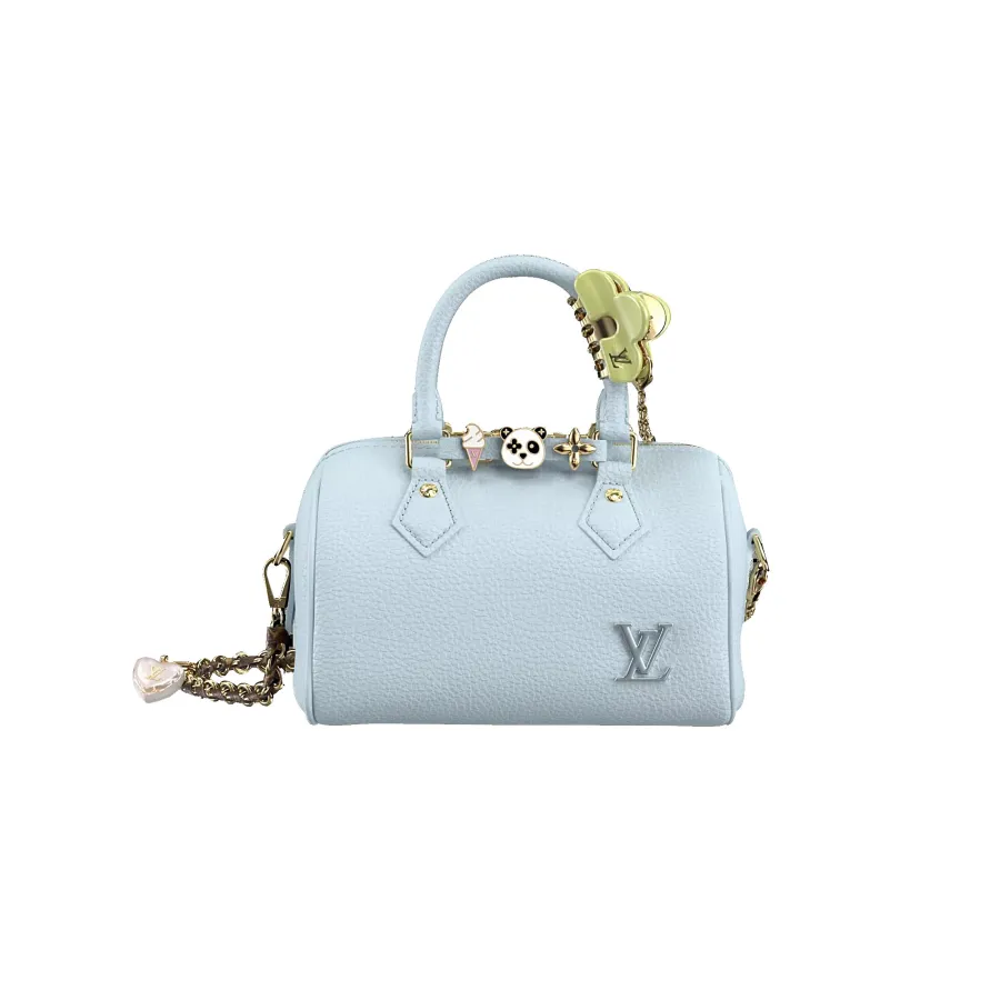 Louis Vuitton Bags Speedy
