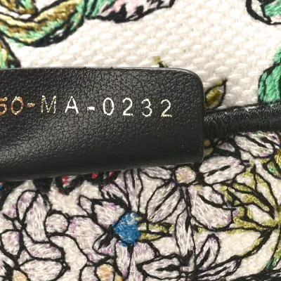 Dior Medium D-Constellation Book Tote Latte Multicolor Embroidered Canvas