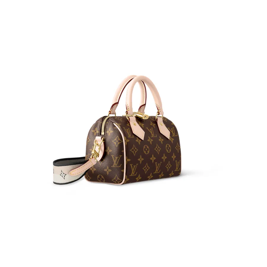 Louis Vuitton Bags Speedy