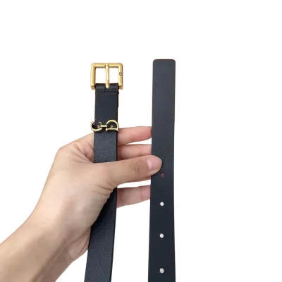 Dior Women' s Square Buckle Loop Belt In Black/White/Khaki Calfskin With Gold/Silver Hardware 20mm