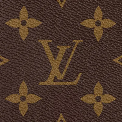Louis Vuitton Bags Multi