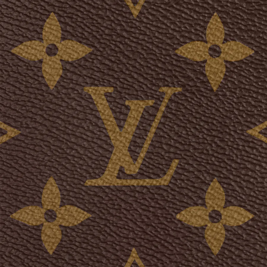 Louis Vuitton Bags Multi