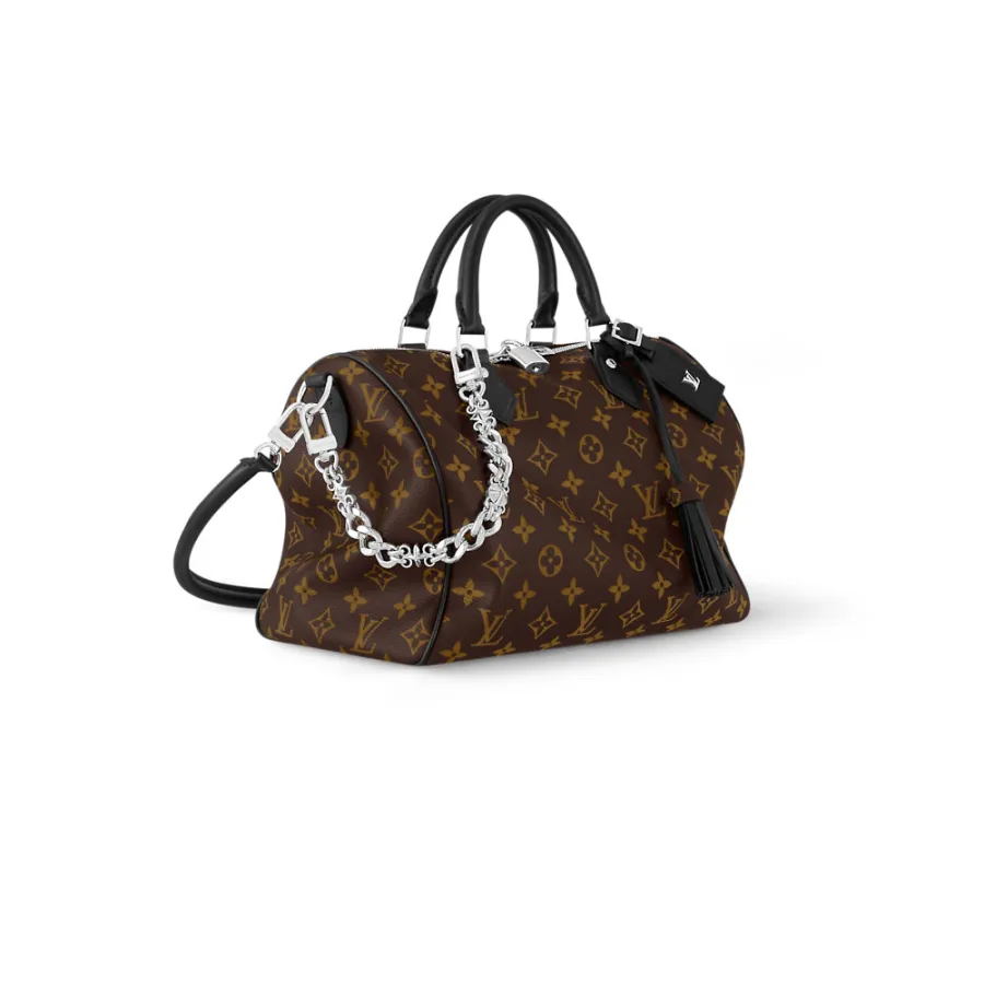 Louis Vuitton Bags Speedy